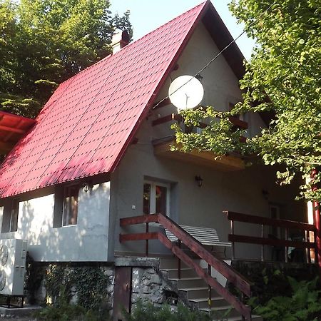 Casa De Oaspeti Boga Pietroasa  Exterior photo